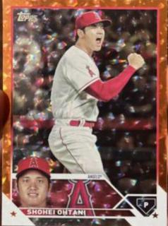 Shohei Ohtani