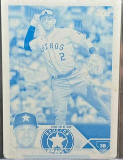 Alex Bregman