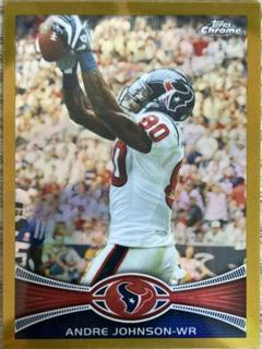 Andre Johnson