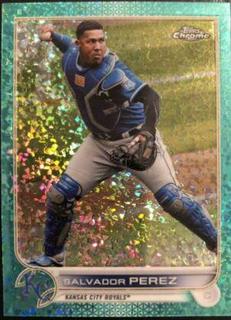 Salvador Perez