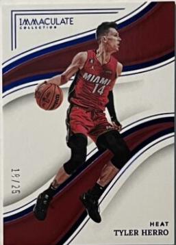 Tyler Herro [Blue] #34