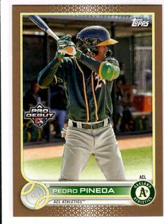 Pedro Pineda