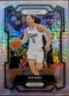 Sue Bird