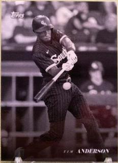 Tim Anderson