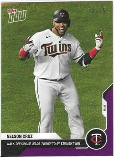 Nelson Cruz