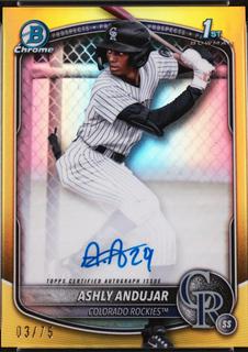 Ashly Andujar
