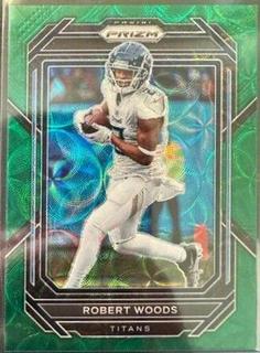 Robert Woods