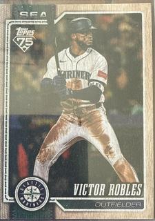 Victor Robles