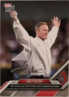 Matt Hilton