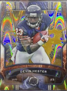 Devin Hester