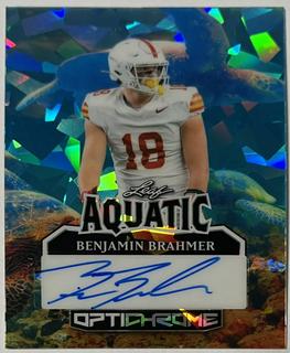 Benjamin Brahmer