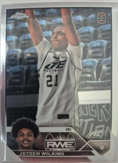 Jayden Wilkins