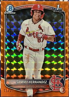 Sammy Hernandez