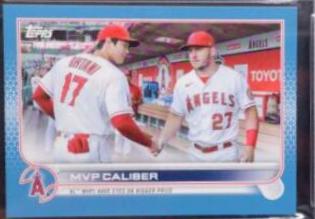 Mike Trout / Shohei Ohtani