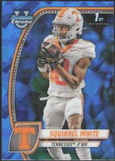 Squirrel White