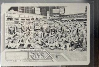 Tampa Bay Rays