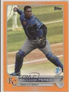 Salvador Perez