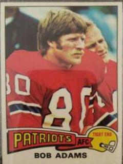 Bob Adams