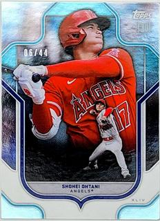 Shohei Ohtani