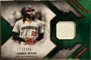 James Wood