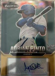 Adrian Pinto