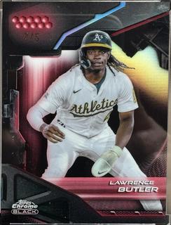 Lawrence Butler