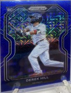 Derek Hill