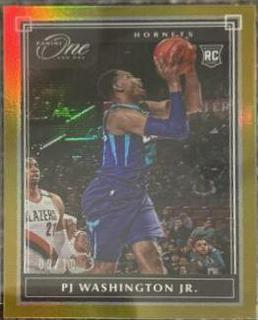 PJ Washington Jr.