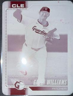 Gavin Williams