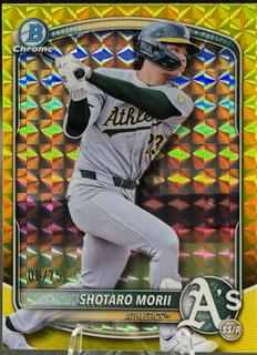 Shotaro Morii