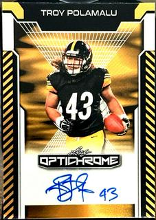 Troy Polamalu