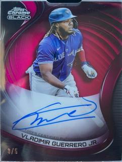 Vladimir Guerrero Jr.