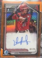 Jose Fernandez