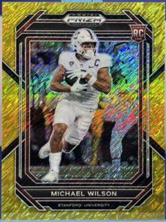 Michael Wilson