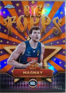 Will Magnay