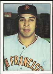 Steve Ontiveros #104 Baseball Cards 1975 SSPC Prices