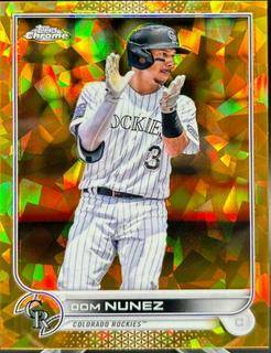 Dom Nunez