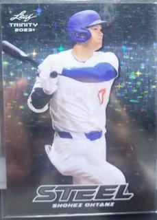 Shohei Ohtani