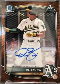 Dylan Fien