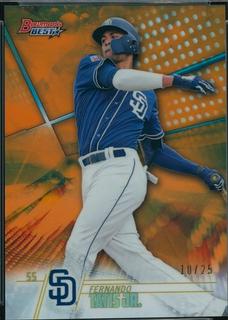 Fernando Tatis Jr.