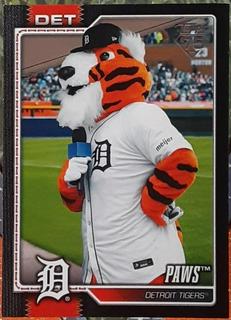 Paws Detroit Tigers