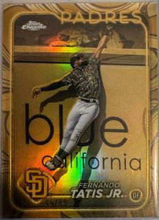 Fernando Tatis Jr.