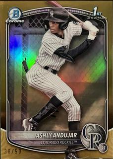 Ashly Andujar