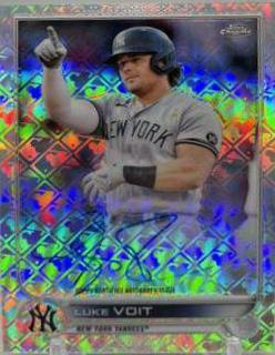 Luke Voit