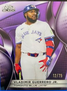 Vladimir Guerrero Jr.