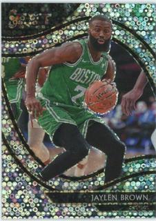 Jaylen Brown
