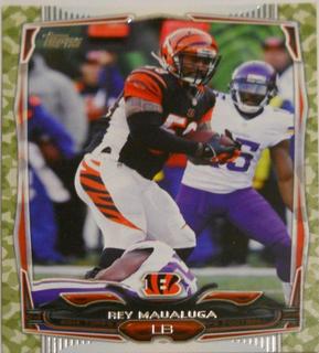 Rey Maualuga