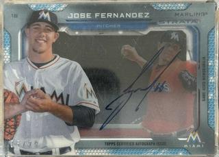 Jose Fernandez