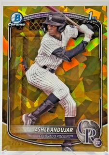 Ashly Andujar