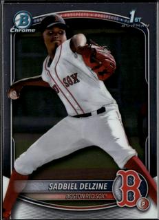 Sadbiel Delzine